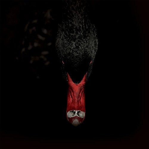 Sankt Otten + Majeure - Mannerfreundschaften Und Metaphysik [VINYL]