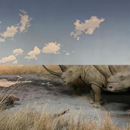 Carpet - Collision [CD]