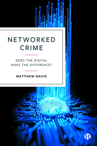 Networked Crime : Does the Digital Make the Difference?