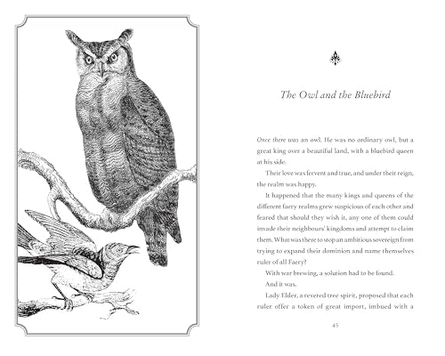 Owl King : Faery Realms series: The darkly enchanting YA fantasy