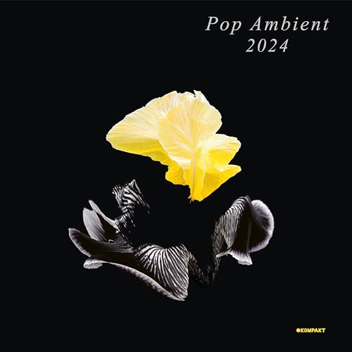 VARIOUS ARTISTS - POP AMBIENT 2024 [CD]