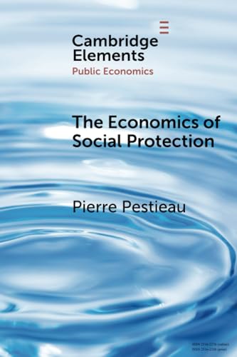 The Economics of Social Protection (Elements in Public Economics)