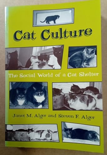 Cat Culture: The Social World Of A Cat Shelter
