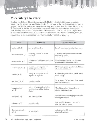 To Kill a Mockingbird : An Instructional Guide for Literature