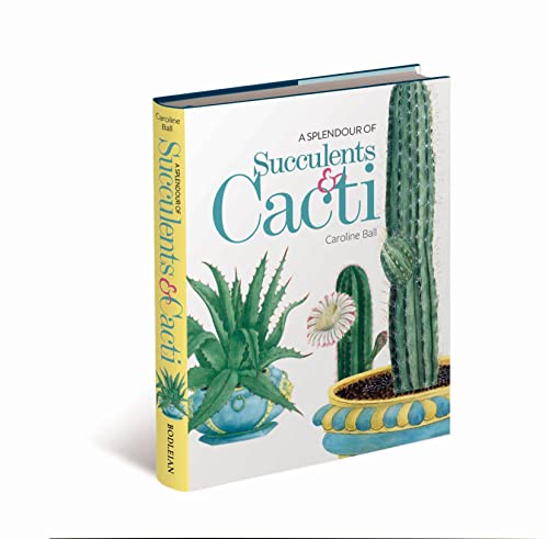 A Splendour of Succulents &amp; Cacti