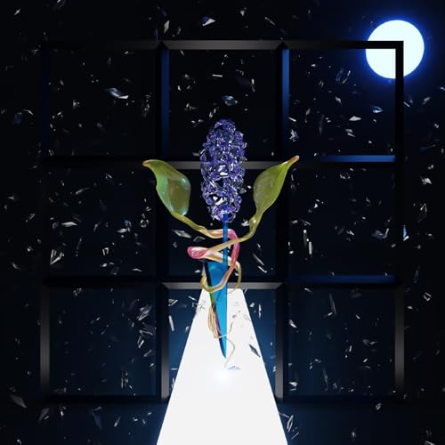 Darian Donovan Thomas - A Room With Many Doors : Night [VINYL]