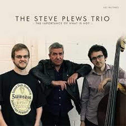 Steve Plews Trio - The Importance of What is Not [CD]