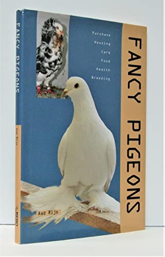 Fancy Pigeons