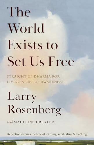 The World Exists to Set Us Free : Straight-Up Dharma for Living a Life of Awareness