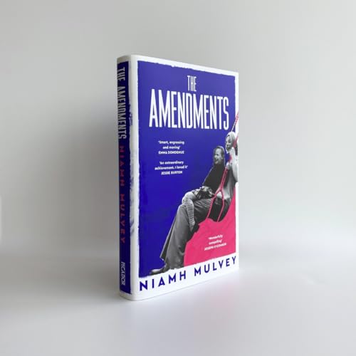The Amendments : the instant Irish bestseller about one family through the generations