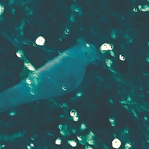 DOUG WIESELMAN - WA-ZOH [VINYL]