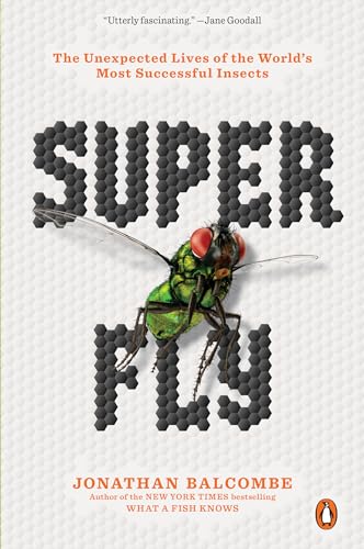Super Fly : The Unexpected Lives of the World's Most Successful Insects