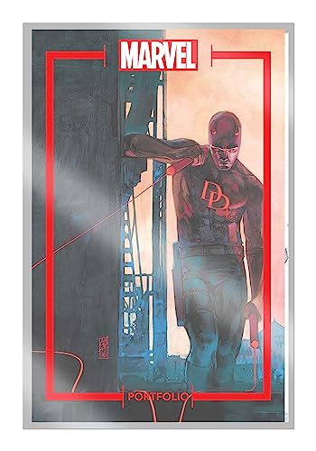 The Marvel Portfolio of Alex Maleev : Daredevil