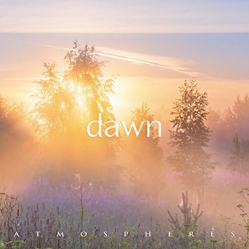Various Artists - Dawn [CD]