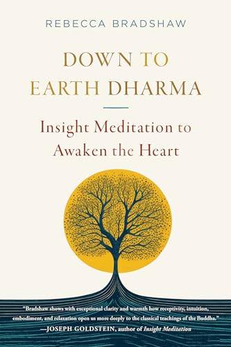 Down to Earth Dharma : Insight Meditation to Awaken the Heart