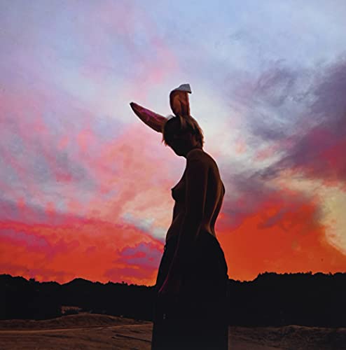 Biig Piig - The Sky Is Bleeding [VINYL]