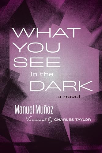 What You See in the Dark : A Novel