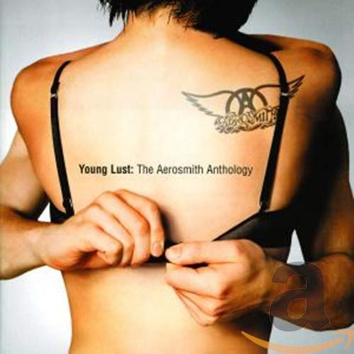 Aerosmith - Young Lust: The Aerosmith Anthology [CD]
