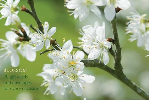 Card Box of 20 Notecards and Envelopes: Blossom : A Delightful Pack of High-quality Flower Gift Cards and Decorative Envelopes
