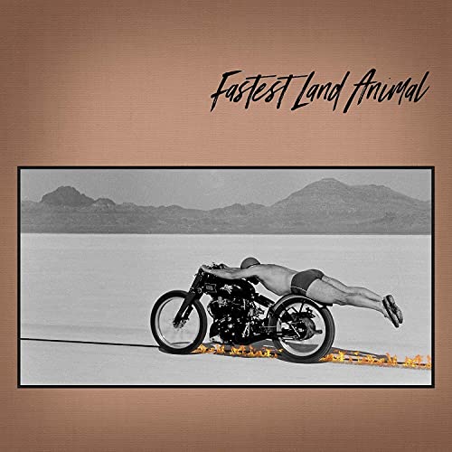 Fastest Land Animal - Fastest Land Animal  [VINYL]