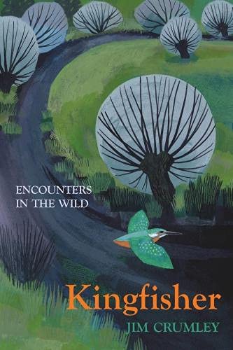 Kingfisher (Encounters in the Wild)