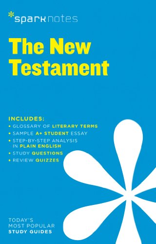 New Testament SparkNotes Literature Guide : Volume 47