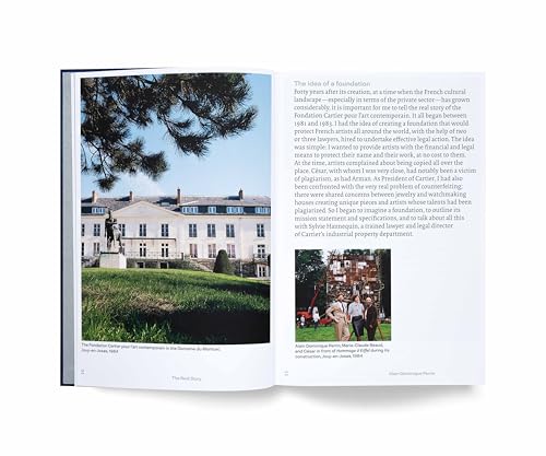 Fondation Cartier pour l'art contemporain: Vision