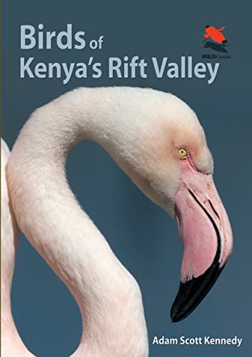 Birds of Kenyas Rift Valley