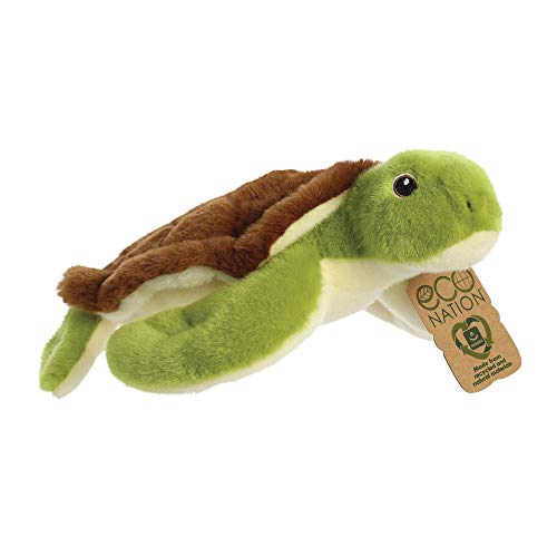 Eco Nation Turtle