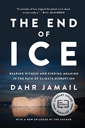 End of Ice, The