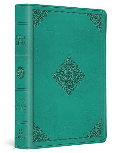Teal-colored leather-bound Holy Bible with embossed cover and spine, decorative corners and center.