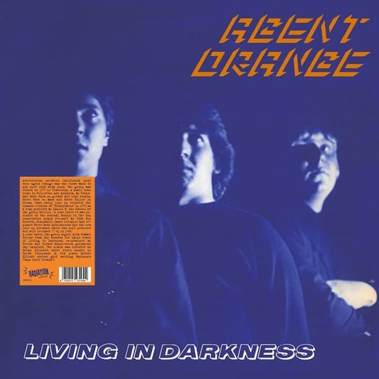 Various - Living In Darkness  [VINYL]