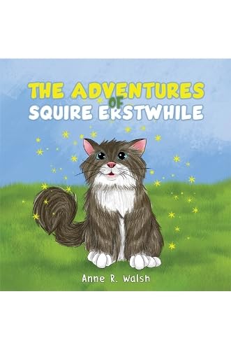 The Adventures of Squire Erstwhile