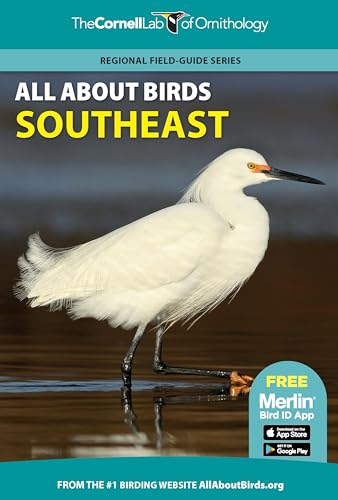 All About Birds: Southeast USA