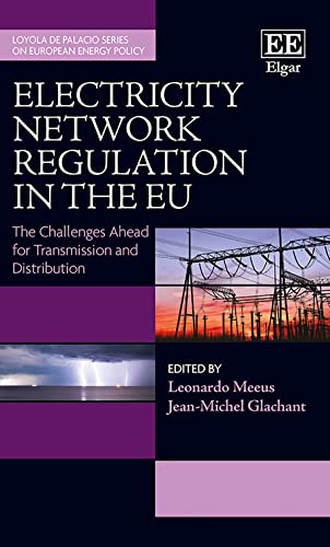Electricity Network Regulation in the EU: The Challenges Ahead  for Transmission and Distribution