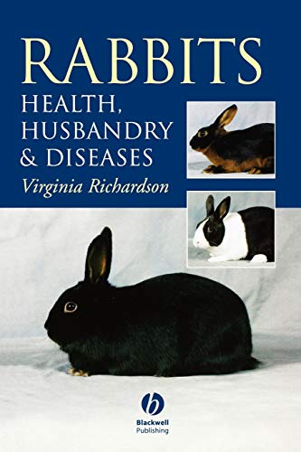 Rabbits Health