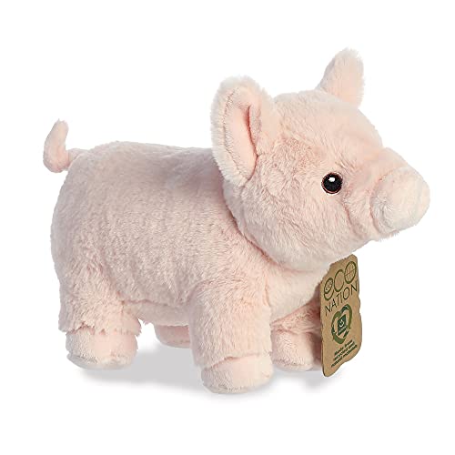 Eco Nation Pig