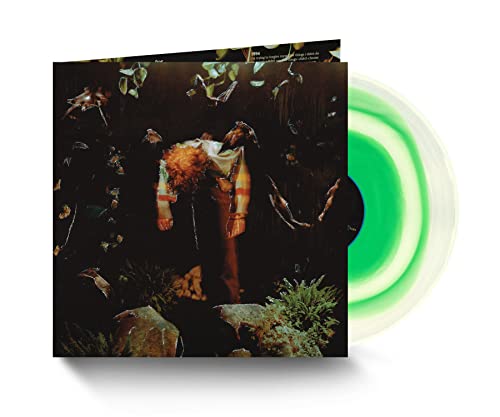 Cavetown - worm food [VINYL]