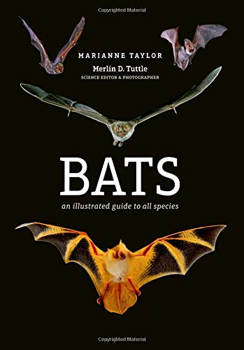 Bats: An illustrated guide to all species