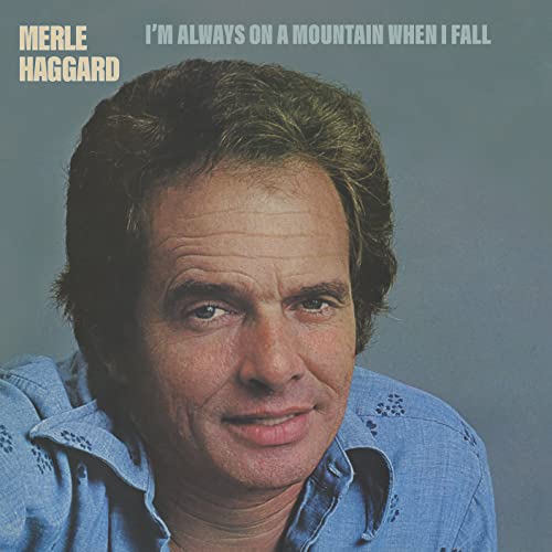 Various - I'm Always On A Mountain When I Fall [CD]