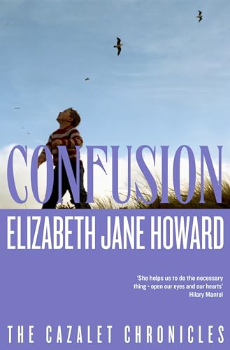 A child looks up at birds in the sky on this book cover.