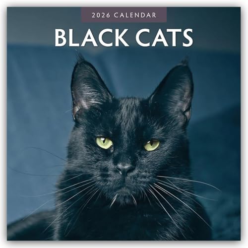 Black Cats 2026 Square Wall Calendar