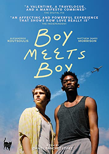 Boy Meets Boy [DVD]