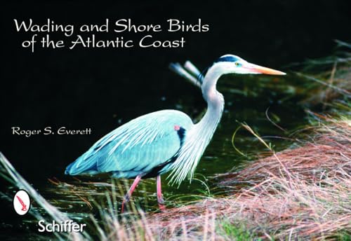Wading & Shore Birds of the Atlantic Coast