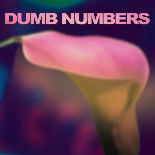 Dumb Numbers - Dumb Numbers [VINYL]