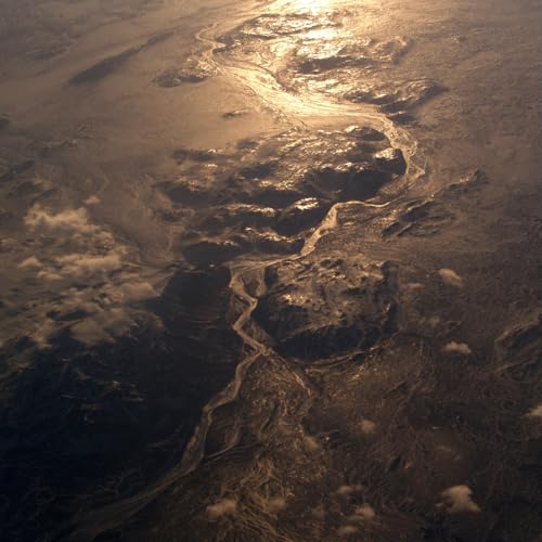 Various - Inland Delta [VINYL]