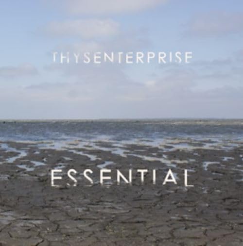Thysenterprise - ESSENTIAL [VINYL]