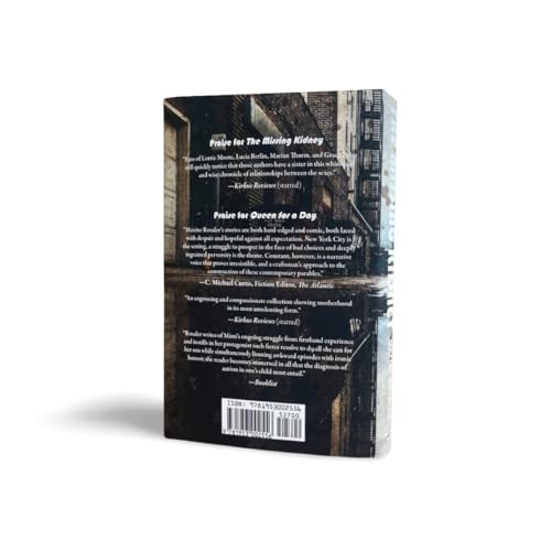 The Fogman and Other Stories : And Other Stories