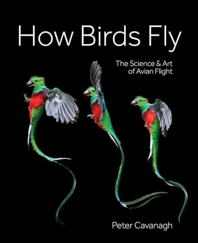 How Birds Fly : The Science and Art of Avian Flight