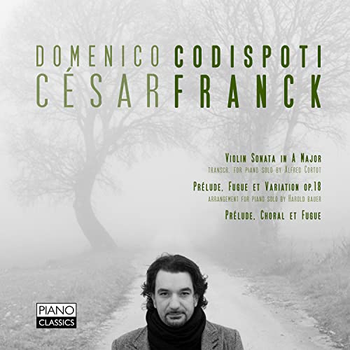CD cover featuring pianist Domenico Codispoti and a foggy landscape.